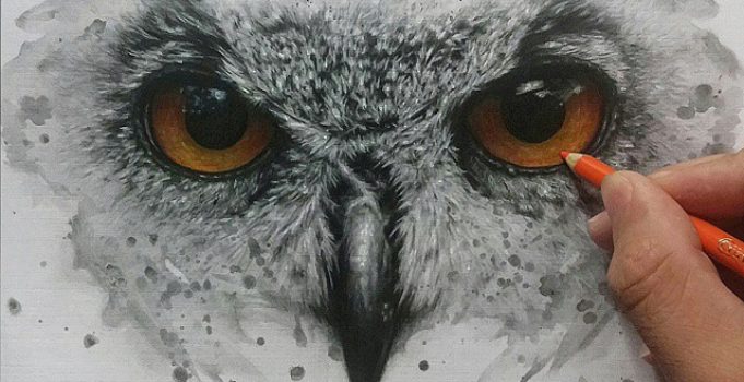 Owl Eyes